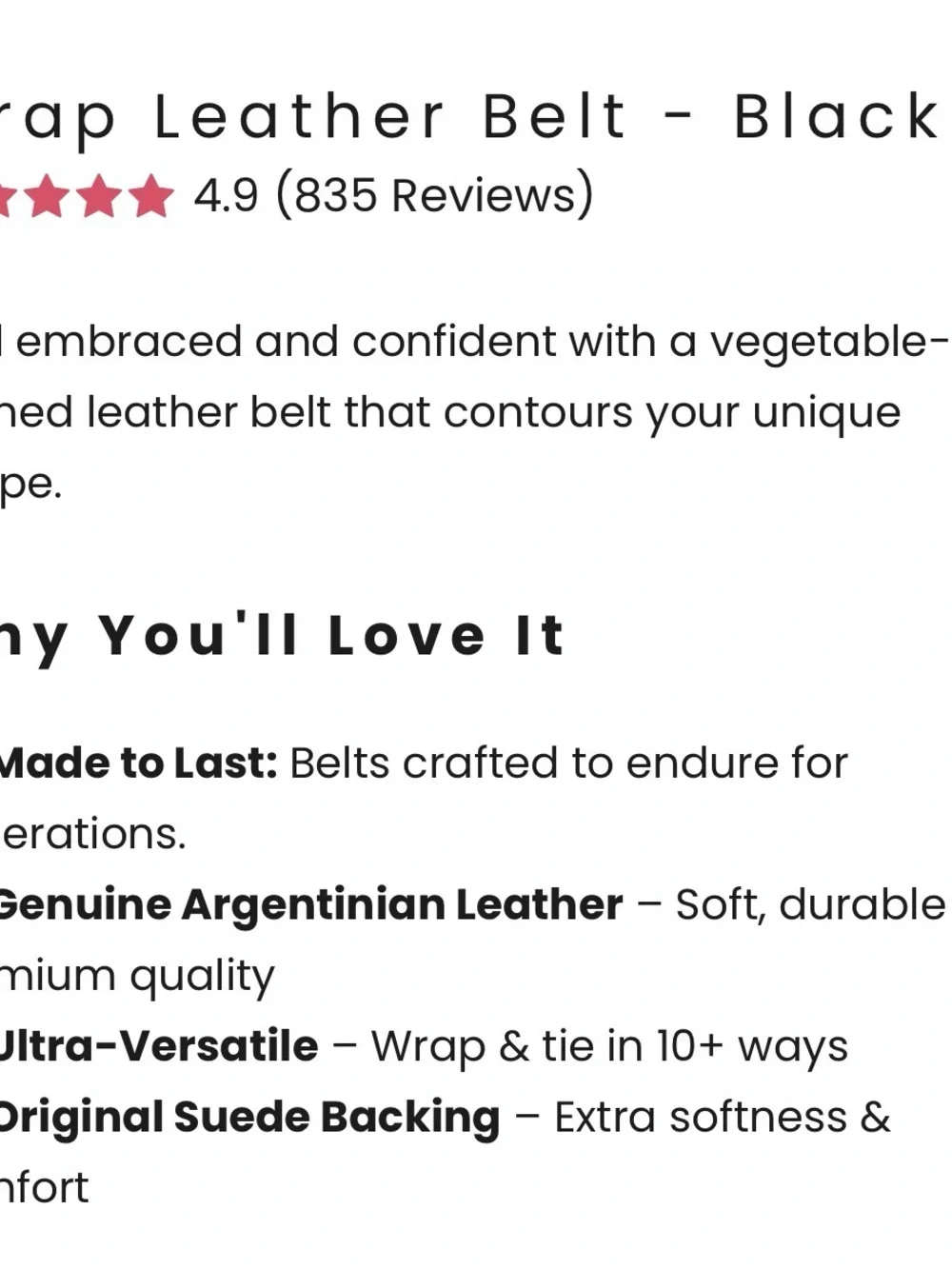 NWT ADA WRAP BELT